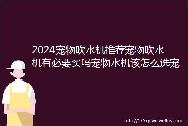 2024宠物吹水机推荐宠物吹水机有必要买吗宠物水机该怎么选宠物吹水机及烘干箱的选购技巧分享